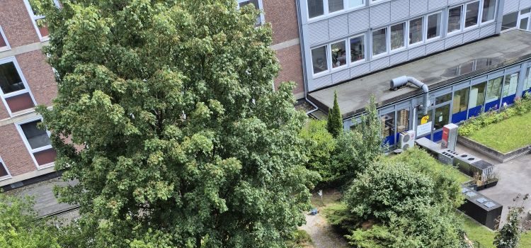 Sommerfeste mit der Pestalozzi-Stiftung Hamburg