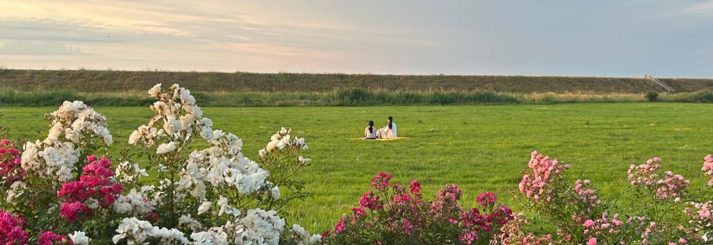 Eine Hecke mit vielen Blüten, dahinter eine große Wiese, noch weiter dahinter eine Düne und darüber schöner Himmel. Zwei Frauen sitzen entspannt mitten auf der Wiese.